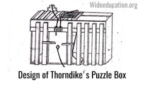 Thorndike's Puzzle 