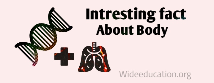 interesting facts about human body organs