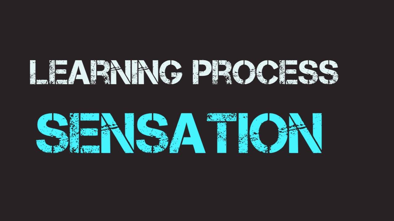 Sensation in Learning process
