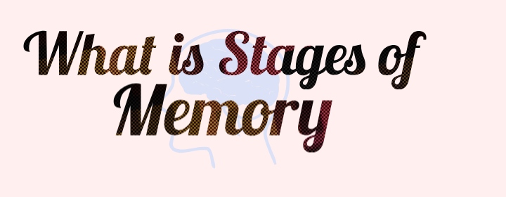 stages of memory