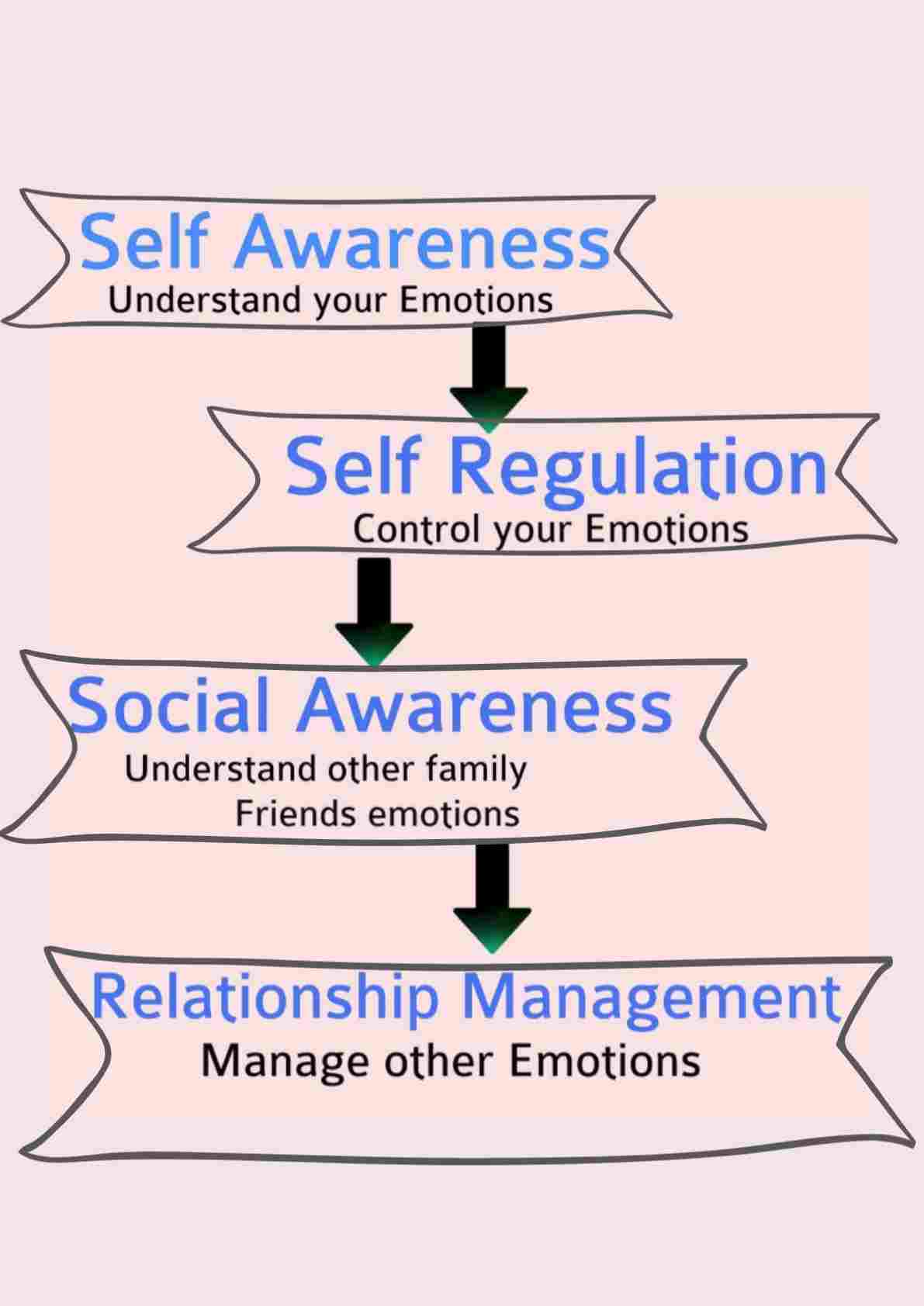 Self awareness, self regulation 