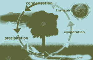 water-cycle-concept-illustration (1)