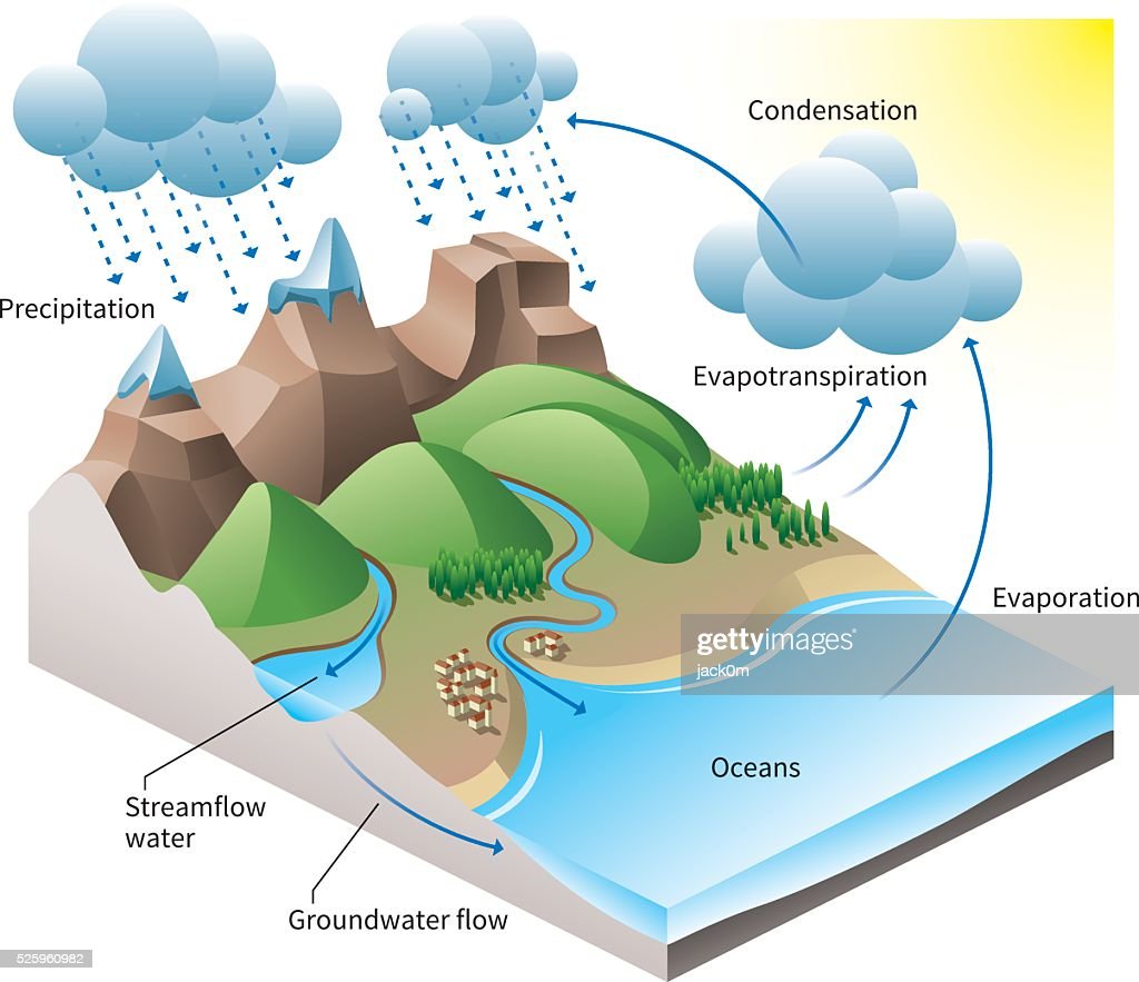 Water cycle diagram.